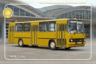 Busblechschild Bus "Ikarus 260"